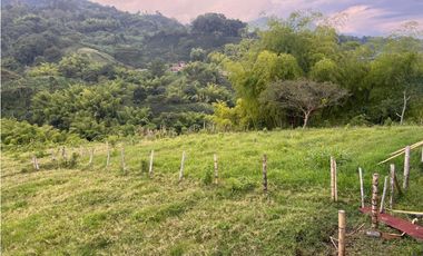 VENTA FINCA  8 CUADRAS AVENIDA CENTENARIO ARMENIA