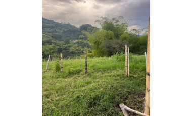 VENTA FINCA  8 CUADRAS AVENIDA CENTENARIO ARMENIA