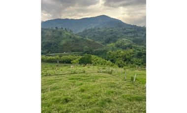 VENTA FINCA  8 CUADRAS AVENIDA CENTENARIO ARMENIA