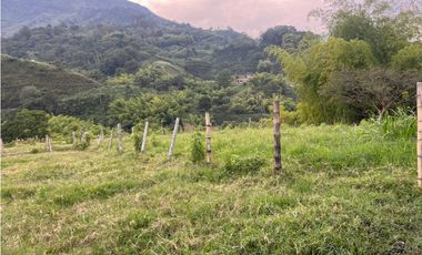 VENTA FINCA  8 CUADRAS AVENIDA CENTENARIO ARMENIA