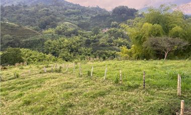 VENTA FINCA  8 CUADRAS AVENIDA CENTENARIO ARMENIA