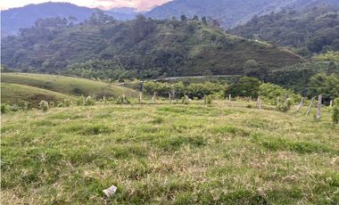 VENTA FINCA  8 CUADRAS AVENIDA CENTENARIO ARMENIA