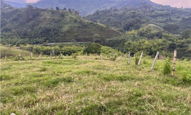 VENTA FINCA  8 CUADRAS AVENIDA CENTENARIO ARMENIA