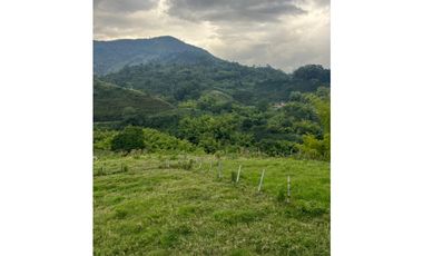 VENTA FINCA  8 CUADRAS AVENIDA CENTENARIO ARMENIA