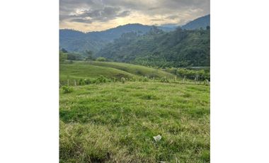 VENTA FINCA  8 CUADRAS AVENIDA CENTENARIO ARMENIA