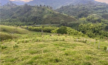 VENTA FINCA  8 CUADRAS AVENIDA CENTENARIO ARMENIA
