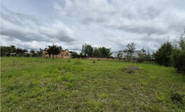 PARCELA EN VENTA EN LA PARCELACION EL TABLON 2 - RIO BLANCO, POPAYN