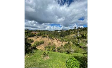 SE VENDE FINCA EN SAN VICENTE FERRER