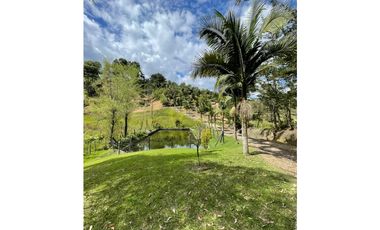 SE VENDE FINCA EN SAN VICENTE FERRER