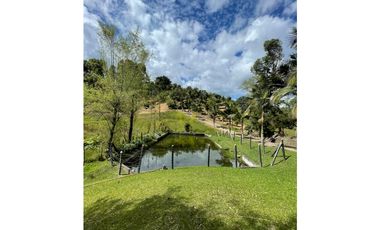 SE VENDE FINCA EN SAN VICENTE FERRER