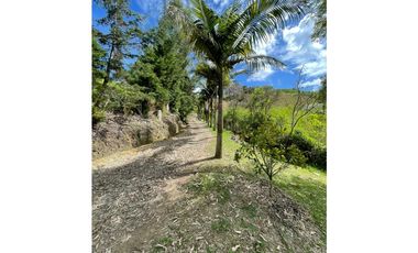 SE VENDE FINCA EN SAN VICENTE FERRER