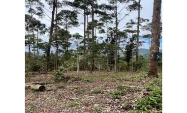 Venta de lote en el retiro