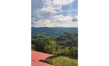 SE VENDE O PERMUTA FINCA VIA ALCALA  A CARTAGO AREA 10.000 M2