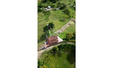 SE VENDE O PERMUTA FINCA VIA ALCALA  A CARTAGO AREA 10.000 M2