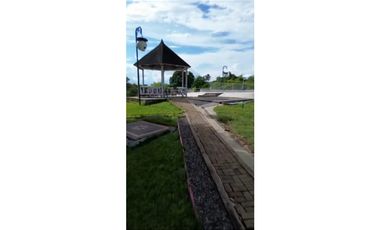 SE VENDE O PERMUTA FINCA VIA ALCALA  A CARTAGO AREA 10.000 M2