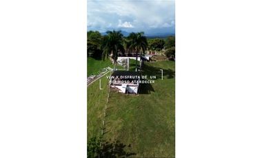 SE VENDE O PERMUTA FINCA VIA ALCALA  A CARTAGO AREA 10.000 M2