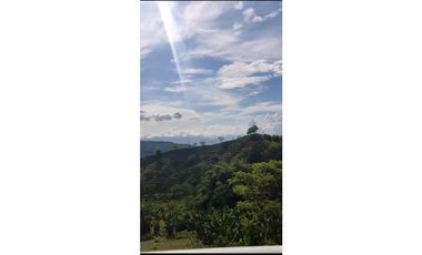 SE VENDE O PERMUTA FINCA VIA ALCALA  A CARTAGO AREA 10.000 M2