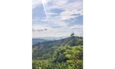SE VENDE O PERMUTA FINCA VIA ALCALA  A CARTAGO AREA 10.000 M2