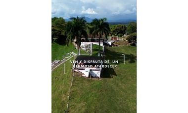 SE VENDE O PERMUTA FINCA VIA ALCALA  A CARTAGO AREA 10.000 M2