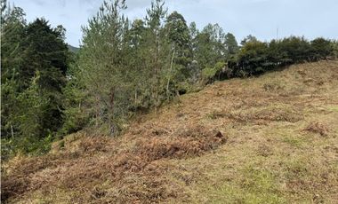 Venta de Lote En El Retiro