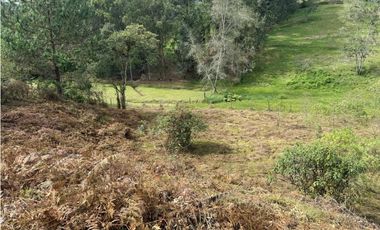 Venta de Lote En El Retiro