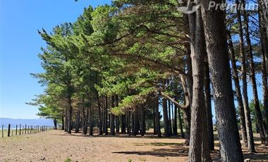 Parcela en Venta en Sector Curaquilla