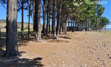 Parcela en Venta en Sector Curaquilla