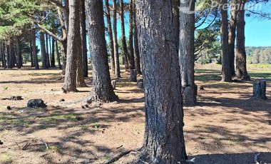 Parcela en Venta en Sector Curaquilla