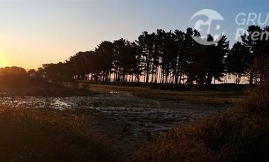 Parcela en Venta en Sector Curaquilla