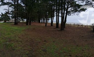 Parcela en Venta en Sector Curaquilla