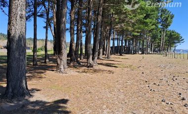 Parcela en Venta en Sector Curaquilla