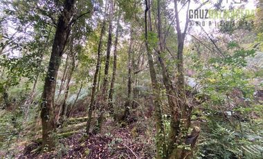 Parcela en Venta en Parcela con orilla de Río, Condominio Alerce Escondido - Polincay