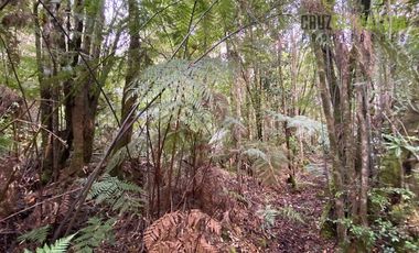 Parcela en Venta en Parcela con orilla de Río, Condominio Alerce Escondido - Polincay