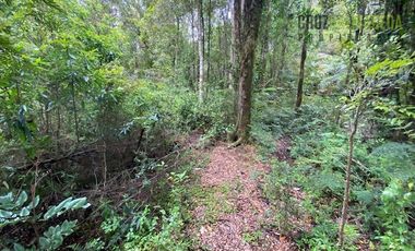 Parcela en Venta en Parcela con orilla de Río, Condominio Alerce Escondido - Polincay