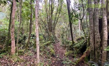 Parcela en Venta en Parcela con orilla de Río, Condominio Alerce Escondido - Polincay