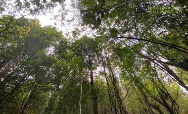 Parcela en Venta en Parcela con orilla de Río, Condominio Alerce Escondido - Polincay