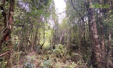 Parcela en Venta en Parcela con orilla de Río, Condominio Alerce Escondido - Polincay