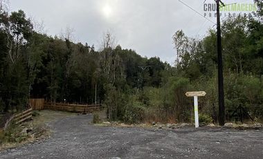 Parcela en Venta en Parcela con orilla de Río, Condominio Alerce Escondido - Polincay