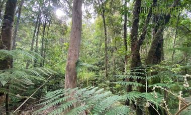 Parcela en Venta en Parcela con orilla de Río, Condominio Alerce Escondido - Polincay