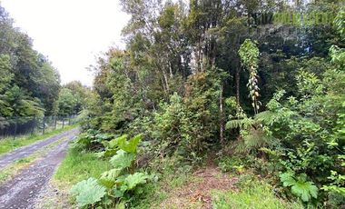 Parcela en Venta en Parcela con orilla de Río, Condominio Alerce Escondido - Polincay