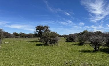Parcela en Venta en PARCELA DE AGRADO EN CAUQUENES