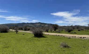 Parcela en Venta en PARCELA DE AGRADO EN CAUQUENES