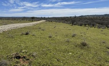 Parcela en Venta en PARCELA DE AGRADO EN CAUQUENES