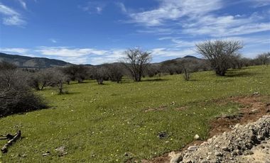 Parcela en Venta en PARCELA DE AGRADO EN CAUQUENES