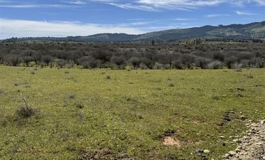 Parcela en Venta en PARCELA DE AGRADO EN CAUQUENES