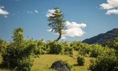 Parcela en Venta en PATAGONIA RIO BAKER