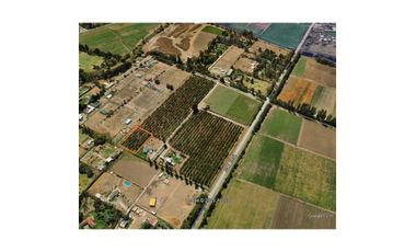 Parcela en venta en COLINA