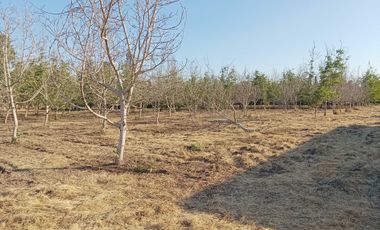 Parcela en venta en COLINA