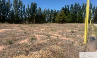Terreno / Lote en alquiler de 840m2 ubicado en Centenario