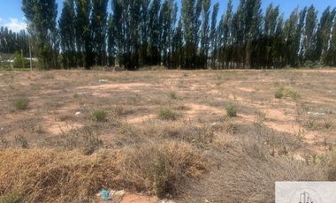 Terreno / Lote en alquiler de 840m2 ubicado en Centenario
